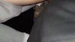 bengali sexy village bhabi