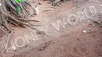 A Day In My Life @honeeyworld