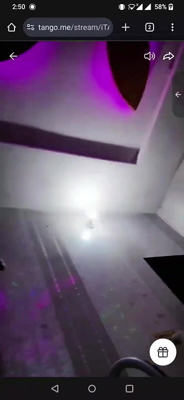 tango 1 8