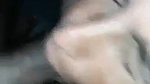 VID 20240527 WA0025mp4 0