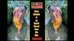 Bathing Desi bhabhi waterfall near river hot girl 2022