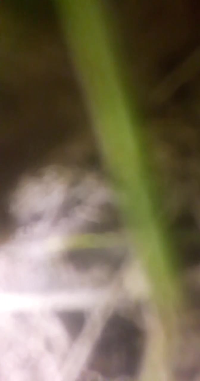 Frame 10