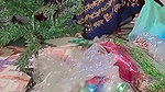 Desi girl Special X-Mas Blast vlog #advanced #happychristmas