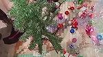 Desi girl Special X-Mas Blast vlog #advanced #happychristmas