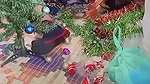 Desi girl Special X-Mas Blast vlog #advanced #happychristmas