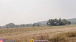 Goa DiariesDay 2 Parra Road (Dear Zindagi) Singham Ki Shooting Wali Jagah ShantaDurga Mandir