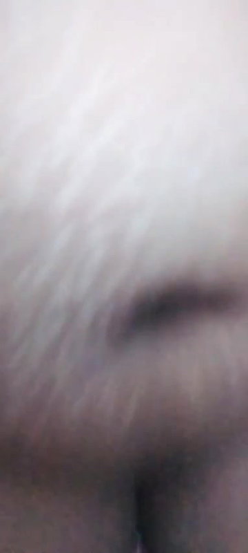 VID 20251031 WA0020
