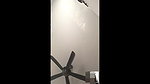 pussy rub video call with bf