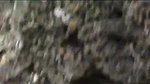 hidden cam record