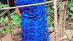 planting plants daily work desi aunty cleaning