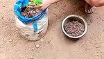 planting plants daily work desi aunty cleaning