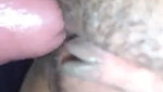 Desi couple Fucking MMS