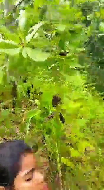 VID 20250411 WA0007