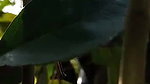 dehati gf bf sex video outdoor