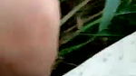 crazy guy fingering gf in open field
