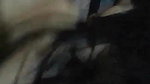 wife blowing hubby