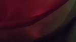 randi sex