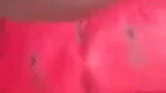 village lovers having sex in jungle