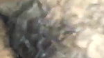 Desi Girl fucking MMS Video