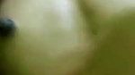 desi sex in missonary position