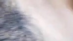 girl fucked in forest