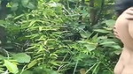 sex with chubby gf in jungle recorded by friend