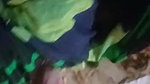 naukrani ke sath masti