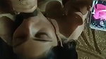 cum on face after blowjob
