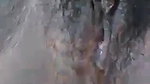 jungle mein randi ka chudai kri