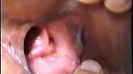homeymoon sex newly married couple
