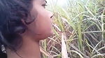 ganne ke khet mein chudai