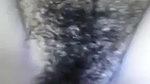 hairy pussy girl fucked by bf