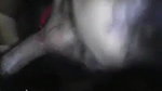 hairy pussy girl fucked by bf