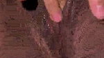 desi escort girl fucked