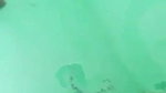 chapri guy romance and sex with bhabhi