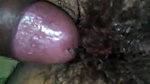 newly married wife fucked
