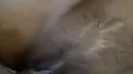 bengal young lovers sex video