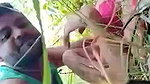 dehati young lover sex in jungle