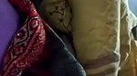 mif randi sex with client