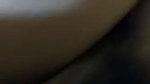 newly married hairy pussy wife blowing hubby
