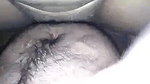 sex with wife