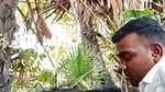 outdoor sex of mature couple