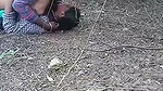 desi outdoor sex