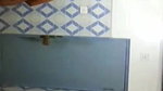 sneaky record bhabhi bathing bath video