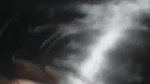horney desi lovers sex mms leaked