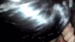 blowjob by wife