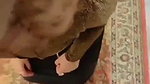 pakistani tkktoker viral sex and nude video