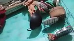 Desi village bhabi show asn pussy on live