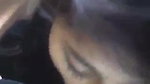 cute girl blowjob