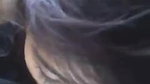 cute girl blowjob